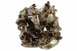 Dark Smoky Quartz Crystal Cluster - Brazil #119552-1